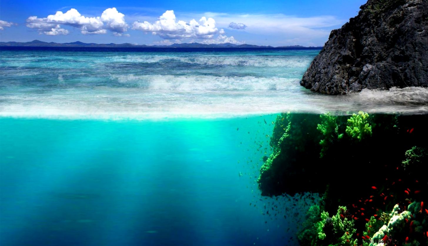 Ocean Live Wallpaper   Android Apps on Google Play