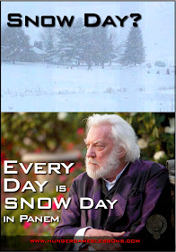 Snow day? Every day is Snow Day in Panem. www.hungergameslessons.com