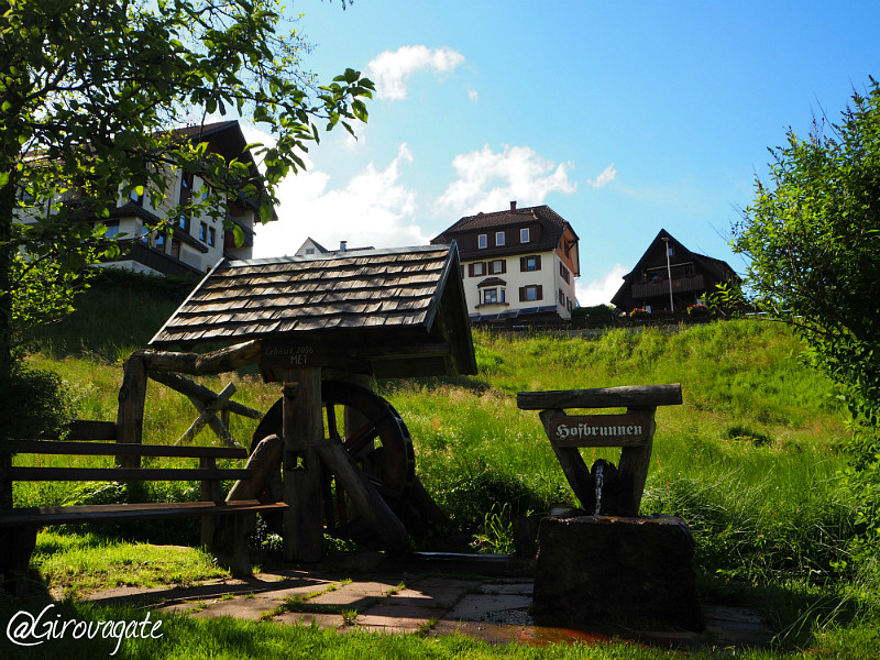 kniebis freudenstadt foresta nera