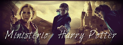 Guia de movimentos de varinha para iniciantes #harrypotter  Livro de feitiços  harry potter, Magia harry potter, Harry potter