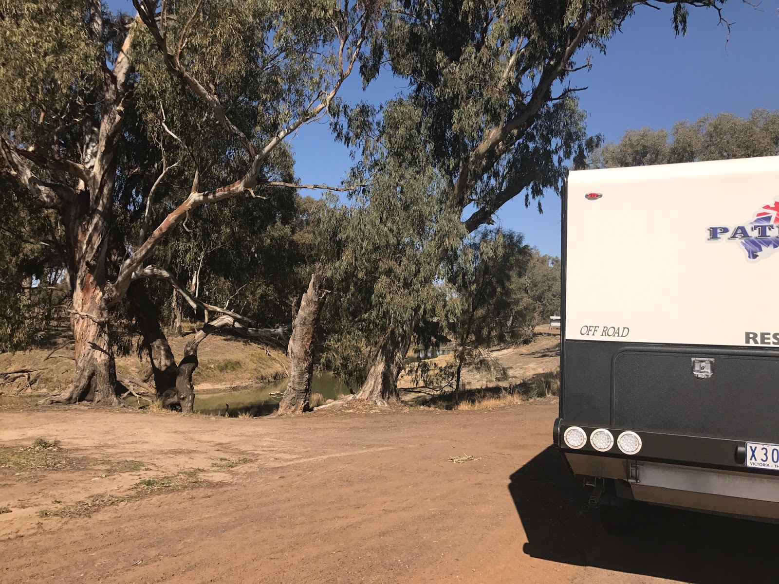 Gismo Queen and her King Goolgowi to Enngonia South