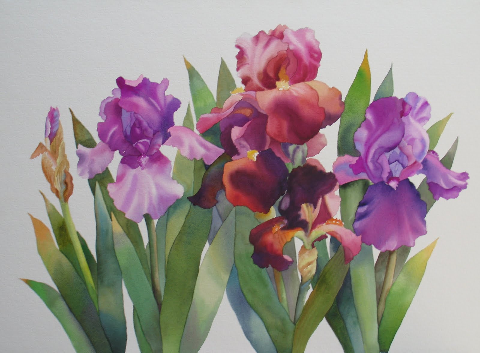 Nel's Everyday Painting Large Iris Watercolor SOLD