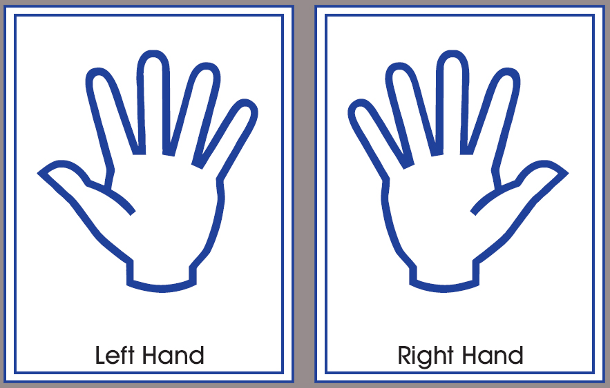 Left hand 1. правая рука. Microneurosurgery left hand. Left-hand pane. Left hand 1.