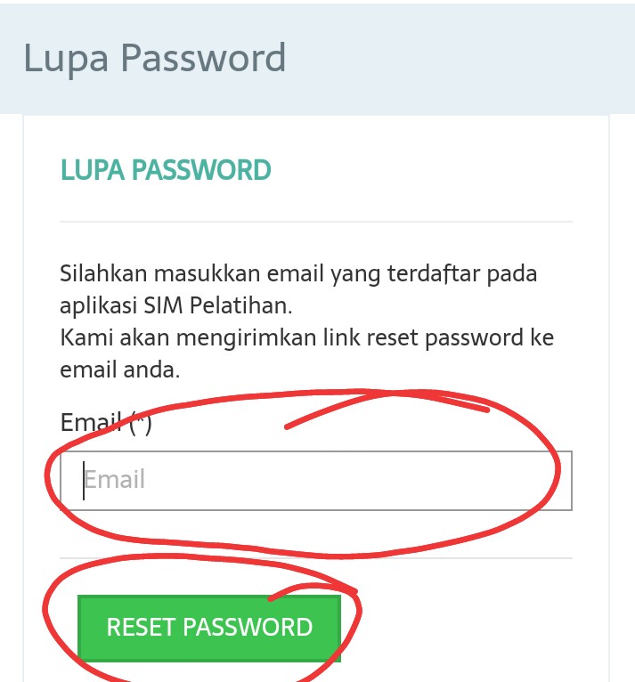 Password sent перевод