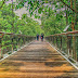 Gambar Sekitar Jom Outing Taman Botani Putrajaya