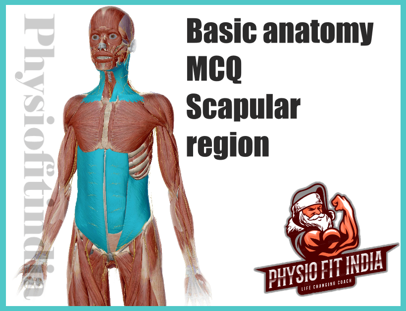 Basic anatomy MCQ 6 on Scapular region cutaneous nerves, cutaneous