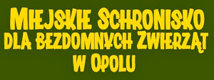 Schronisko dla bezdomnych zwierząt w Opolu