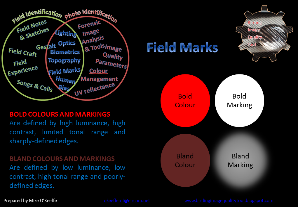 Birding Image Quality Tool Field Marks False Field Marks