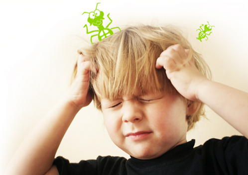 Surprisingly Easy, Fast and Natural Ways to Beat Head Lice!