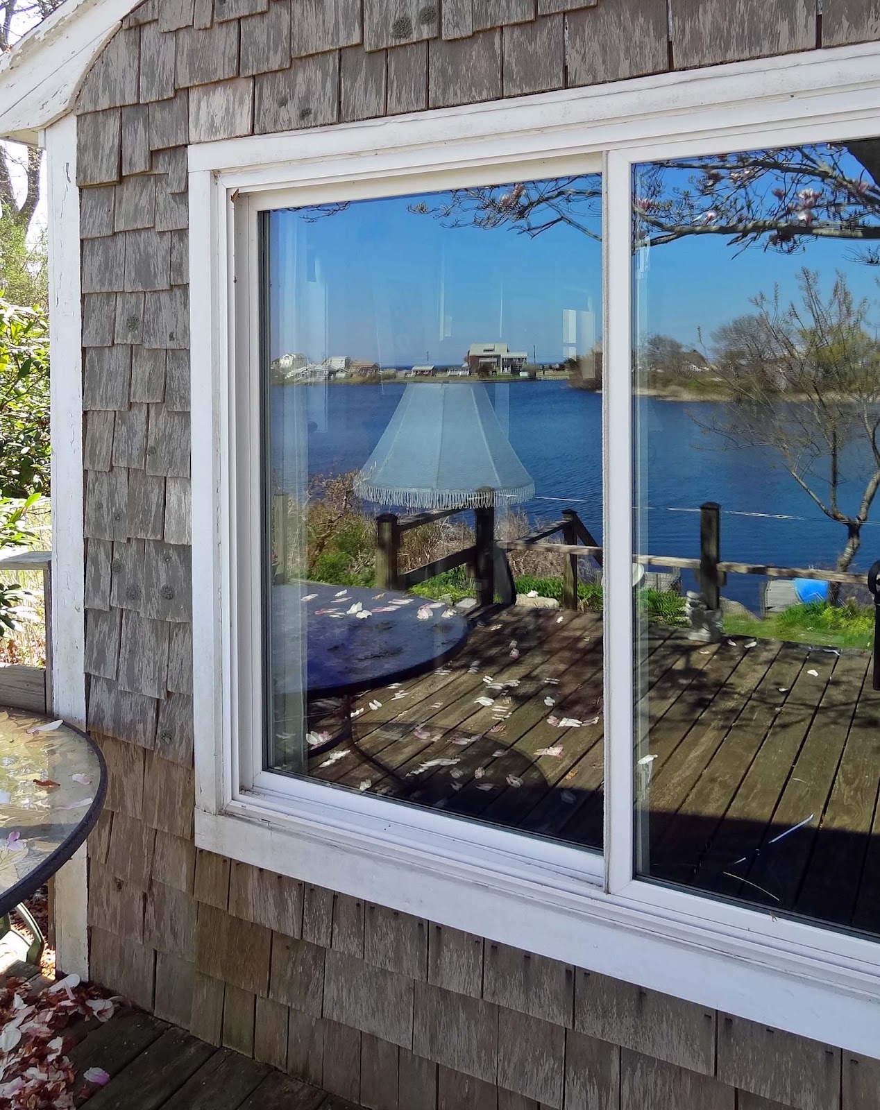 Joe's Retirement Blog Spring, Bartlett Pond, White Horse Beach