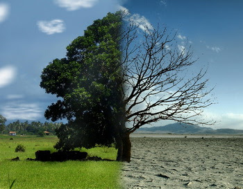 Contoh Artikel Lingkungan Hidup Tentang Global Warming | Share The ...
