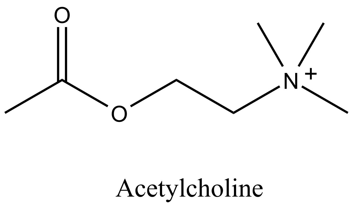 Ацетилхолин структурная формула. Химическая структура ацетилхолина. Ацетилхолин химическое строение. Холин ацетилхолин формула.