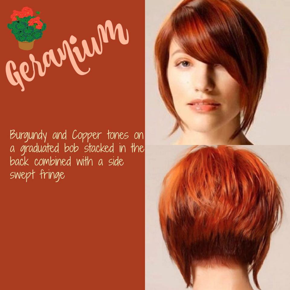 Hair By Season from pinterest