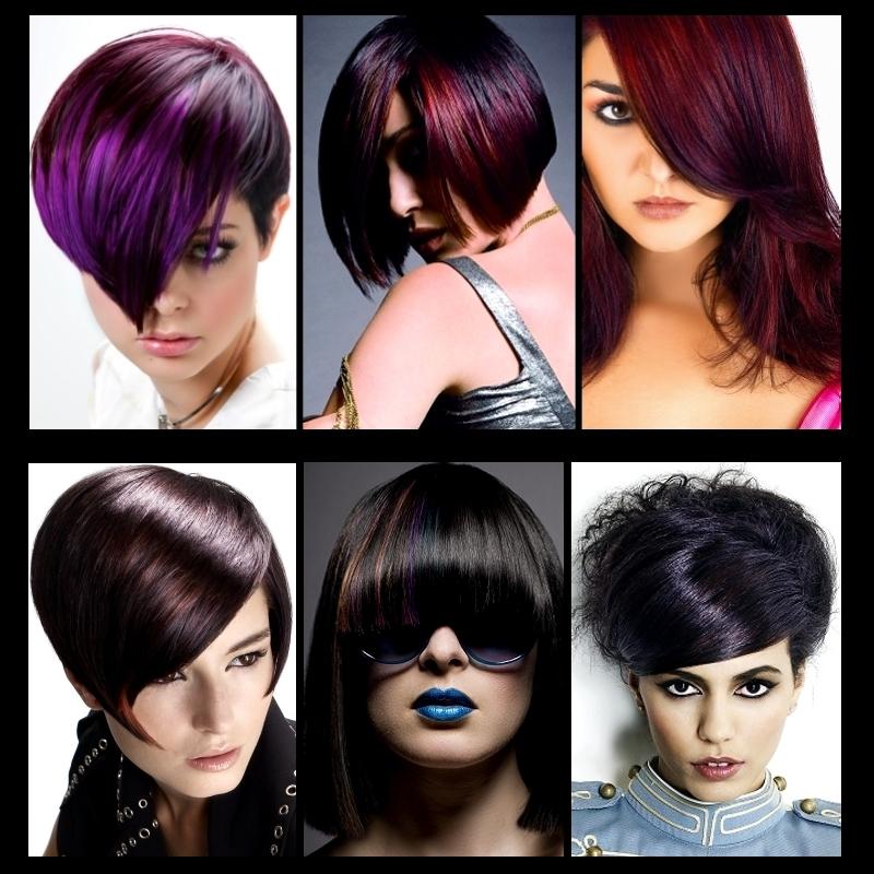 Black Hair Color Black Hair Color Shades