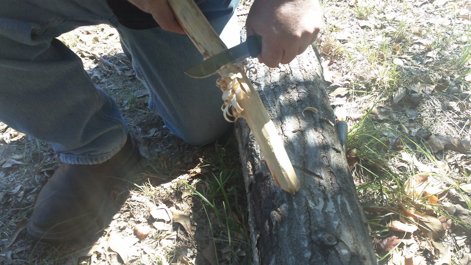 who is kd lang dating