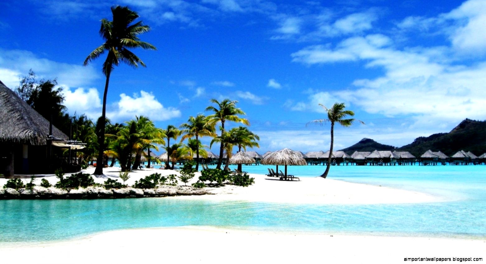 Tropical Wallpaper Widescreen  Wallpapers Gallery