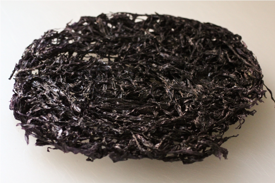 6 Benefits of Dried Seaweed for Healthy Body Fresh Seaweed Suppliers