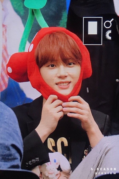 인간체리인지 카드캡터체리인지 체리로 박제된 아이돌 | 인스티즈