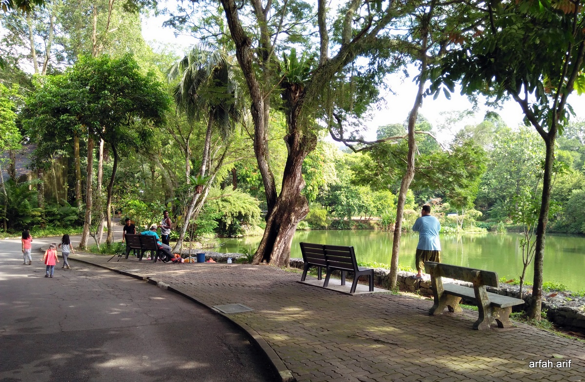 29+ Gambar Pemandangan Zoo - Richi Wallpaper