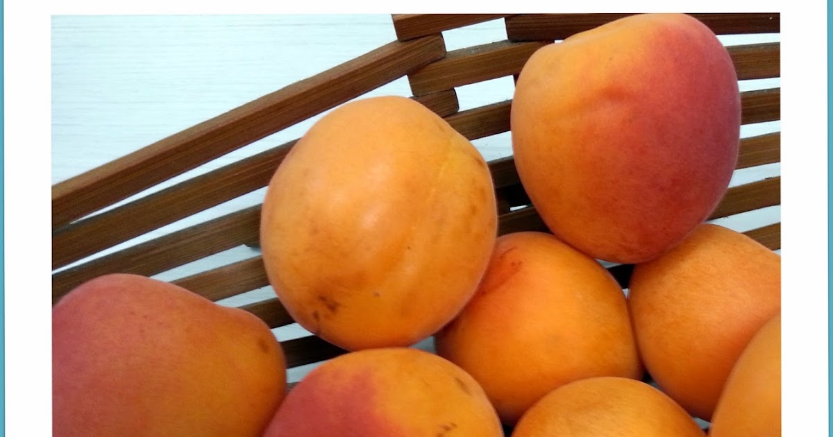 Choices for Children Apricots Fruit / Vegetable of the Month