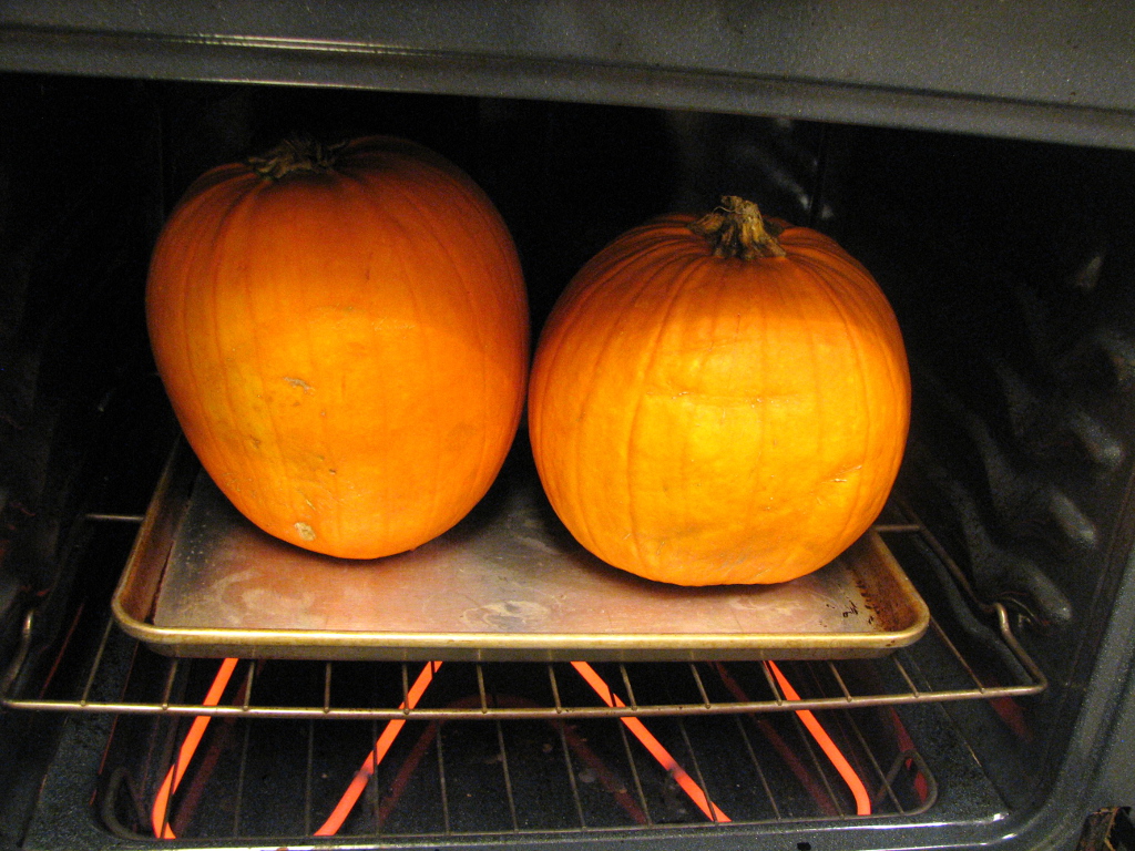 Mary Ann's House Pumpkin Cooking