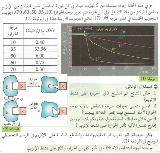 مدونة علوم الطبيعة والحياة تأثير درجة الحرارة على نشاط الانزيم