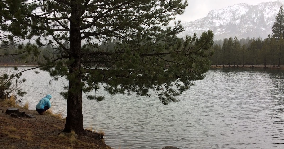 After the Rains, Birds Sing