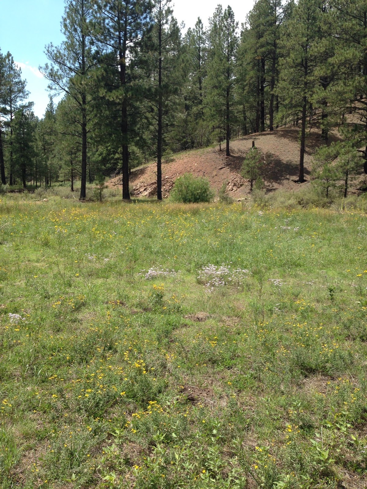 Southern New Mexico Explorer Arroyo Hondo Creek( FR 79) Santa Fe