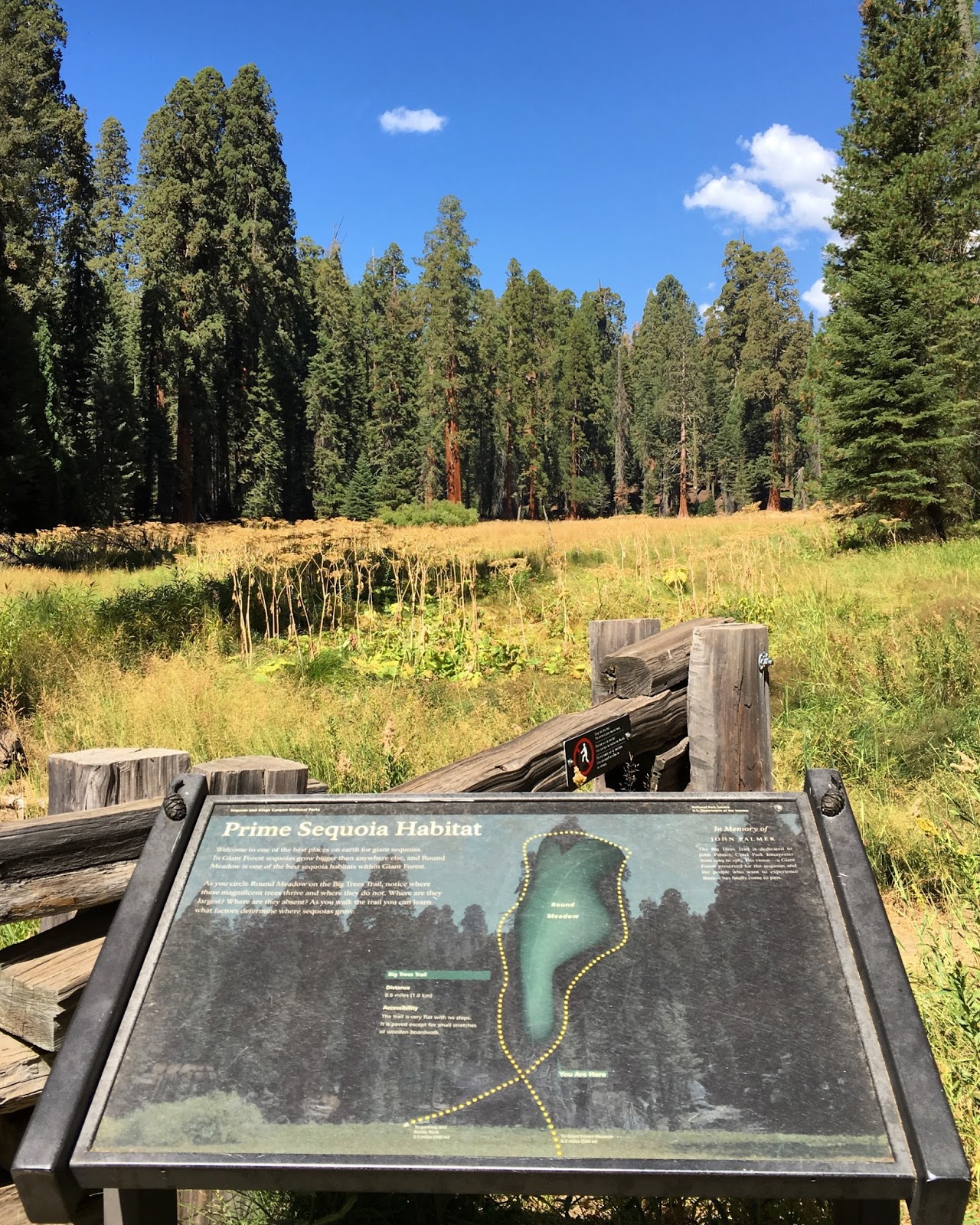 Sensory Overload Sequoia National Park (Giant Trees and Marble Caverns)