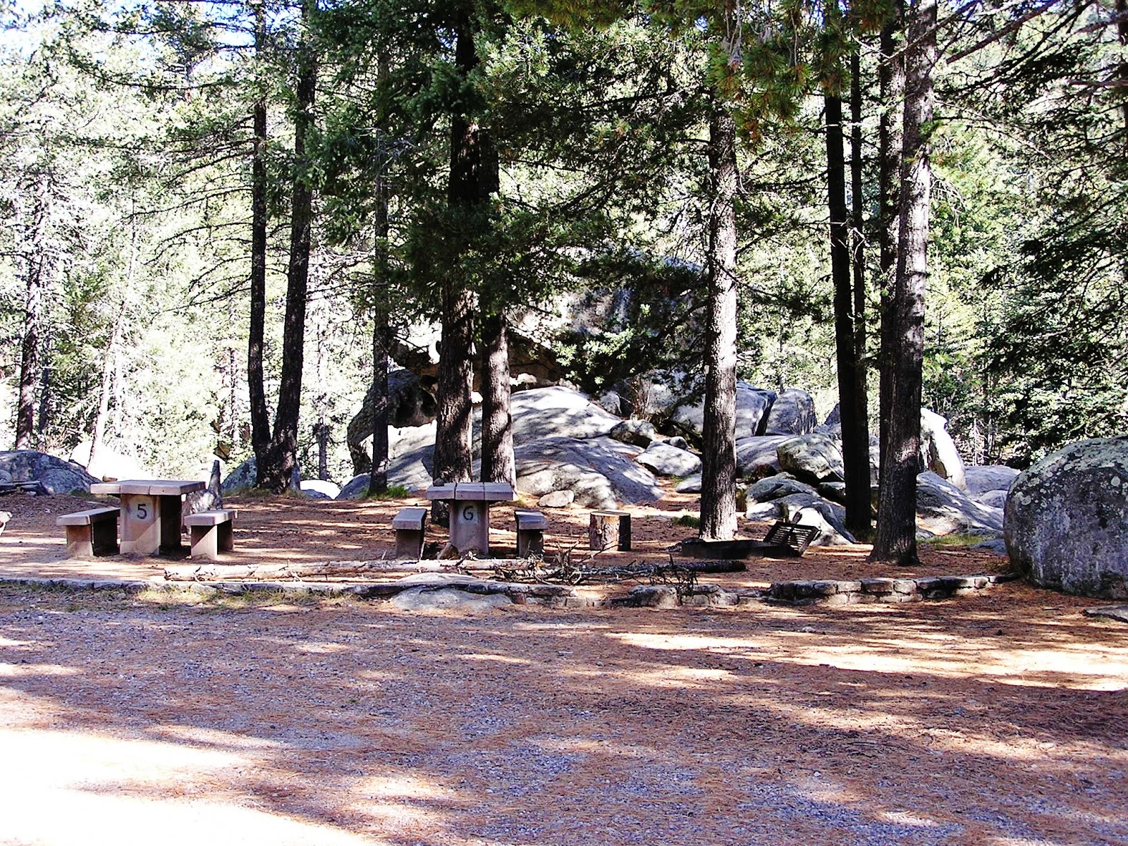 All The Good Names Were Taken Coronado National Forest Mount Graham 