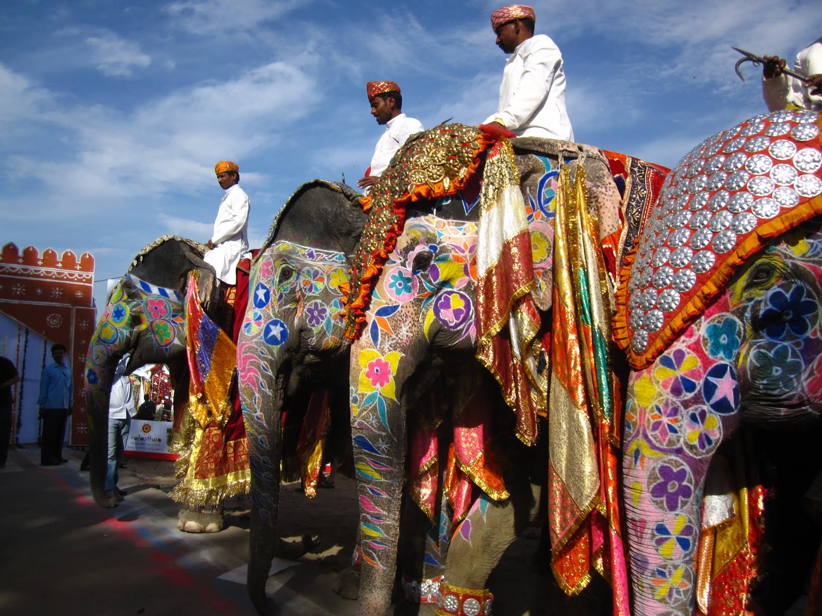 its kingsize elephant festival at jaipur