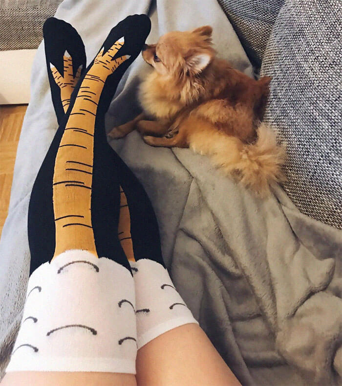 19 Hilarious Pictures Of The New Trend Called Chicken Leg Socks
