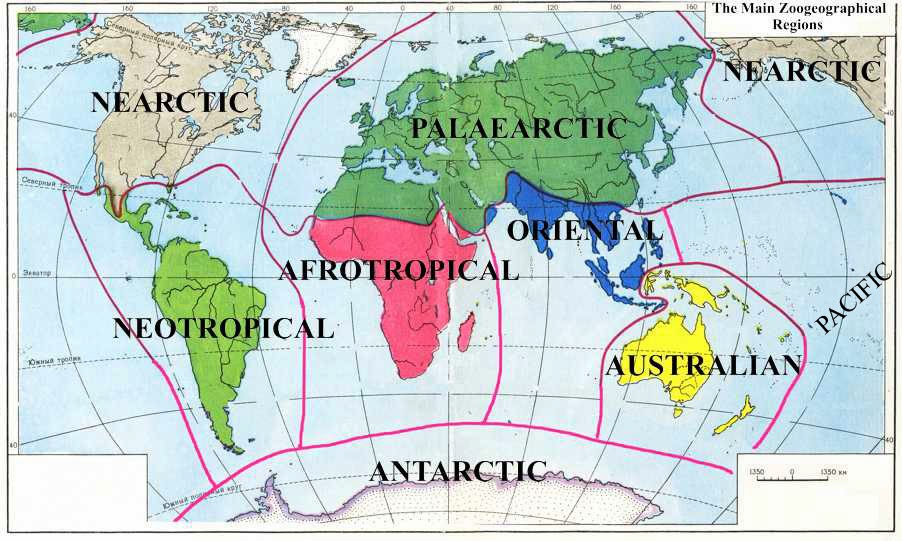 JKGeography Realms of the world