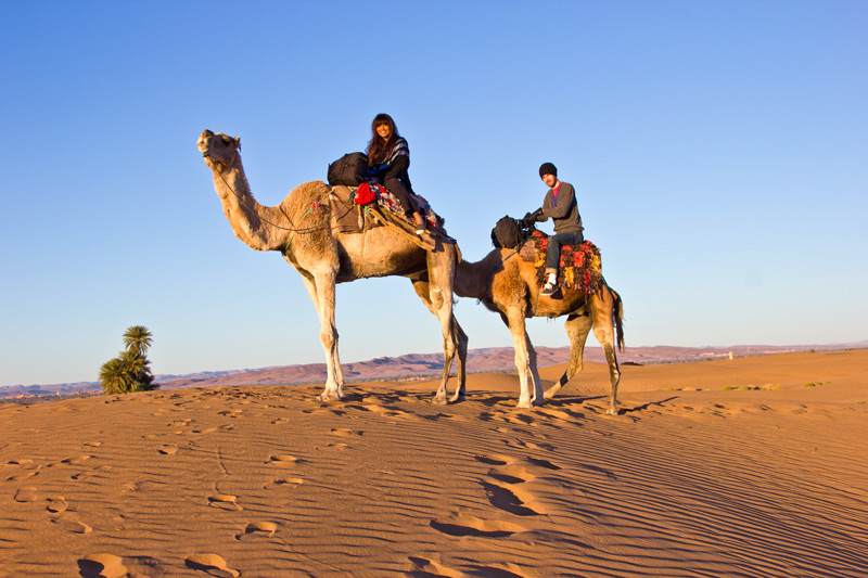 Riding camels in the dunes of the Sahara Desert near Zagora