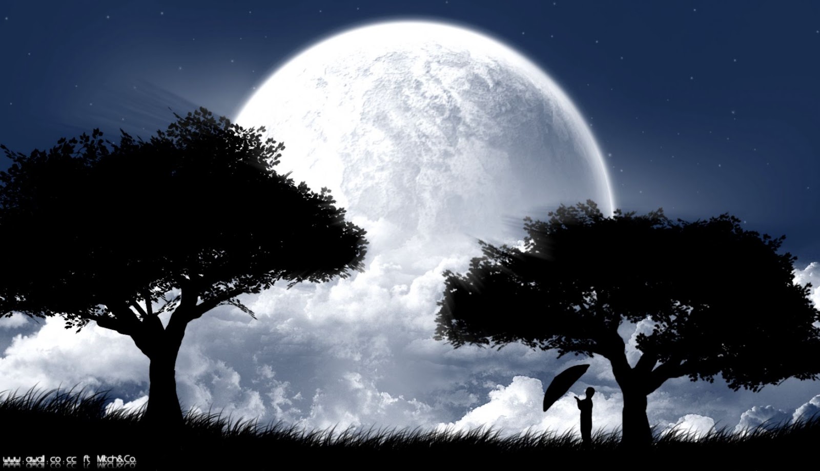 Angelucifer 배경 밤 달 나무 우산 19627