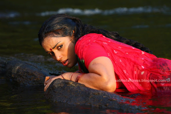 Shweta Menon Hot Navel And Back In Tharam Movie Cinebulk Blogspot