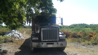  Medio Ambiente apresa volquetas cargadas de yeso