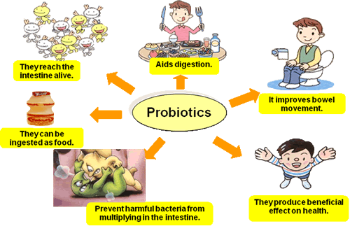 What is probiotics?