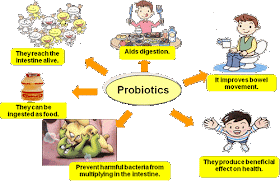 What is probiotics?