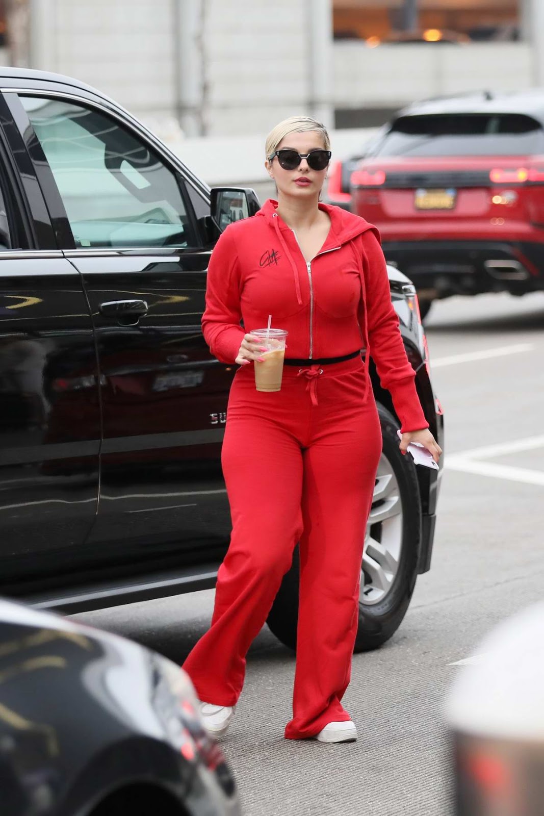 Bebe Rexha – Travel Outfits at LAX Airport in Los Angeles – Celebrity Style