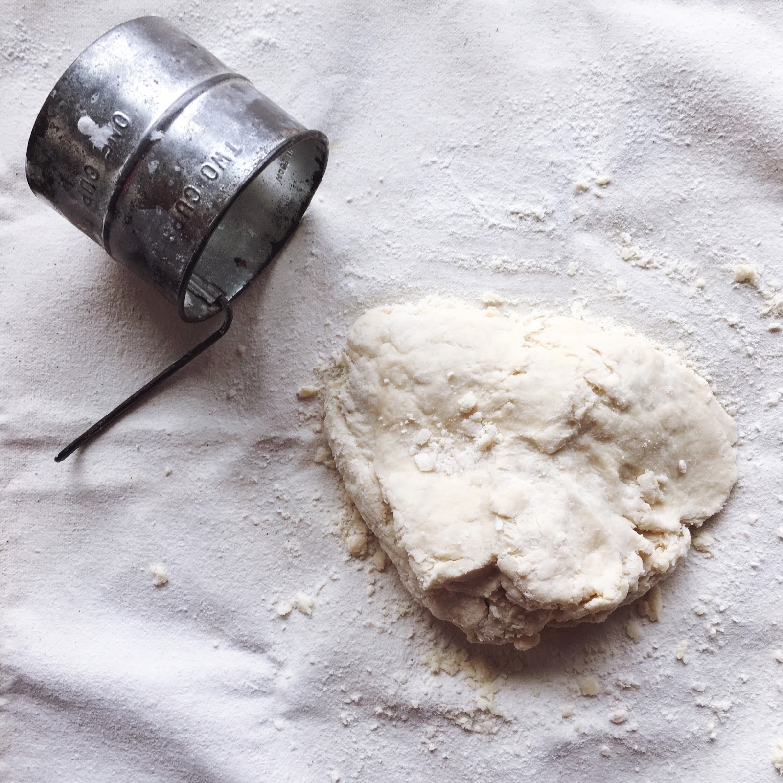 Fanny Farmer's Baking Powder Biscuits Annie Austen Life and Style
