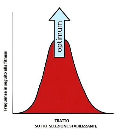 selezione direzionale