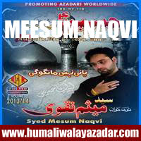 http://ishqehaider.blogspot.com/2013/11/meesum-naqvi-nohay-2014.html