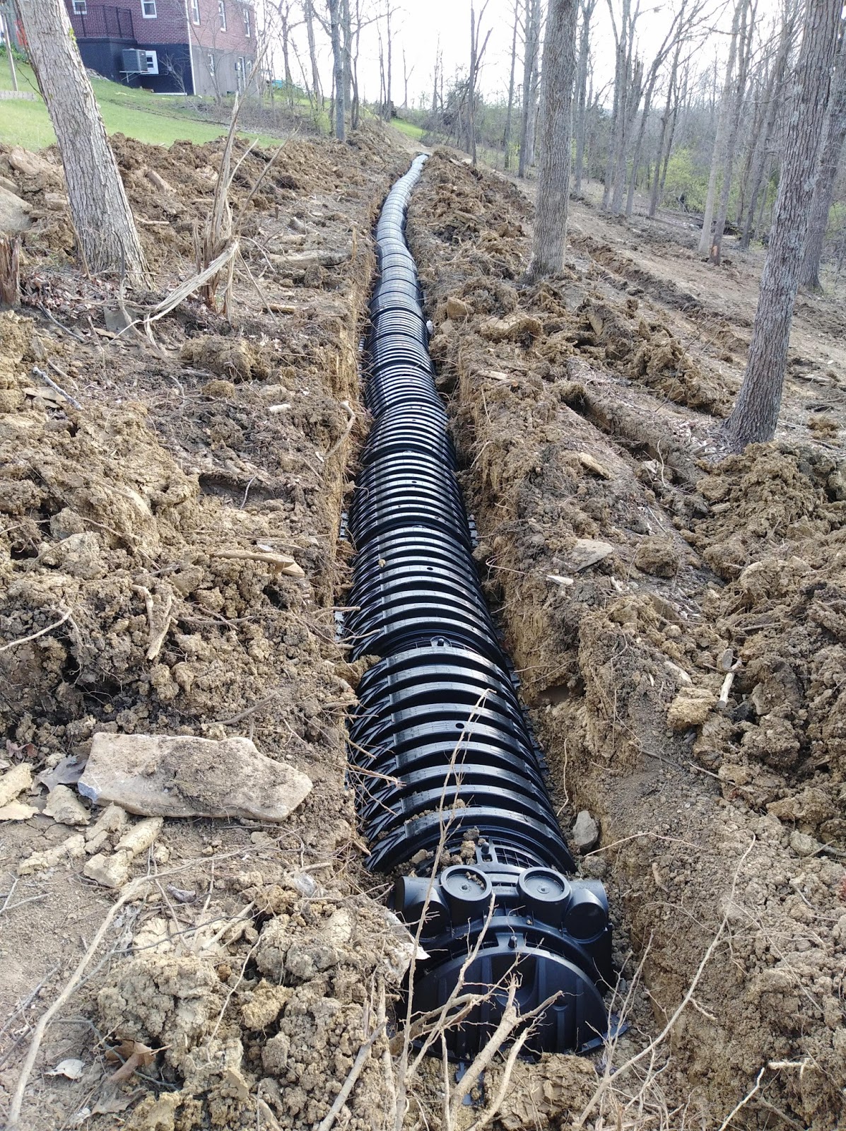 Time To Make Some Memories. . . Major Renovation