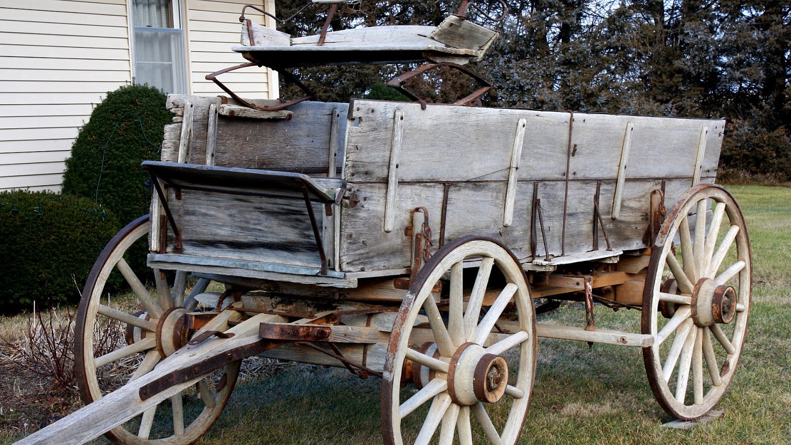 Horse Wagon Plans Horse Choices