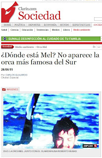 Las Orcas de Punta Norte otra vez en Clarín