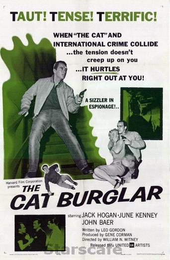 the cat burglar 46479 ampliada - El gato ladrón-1961-vhsrip-vosub esp-(1 link mega)