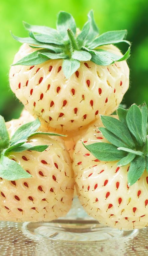 How to Grow Pineberries, The Most Expensive Strawberry In The World