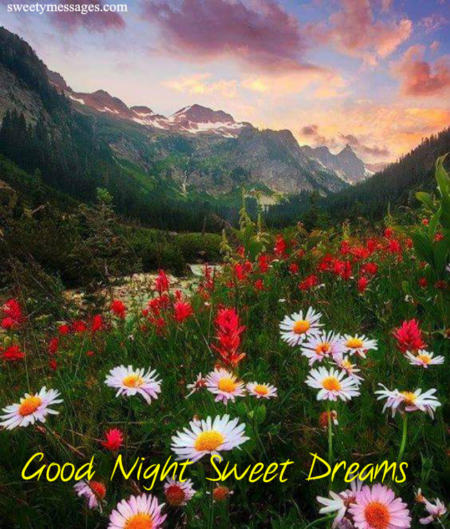 GOOD NIGHT MESSAGES - Beautiful Messages
