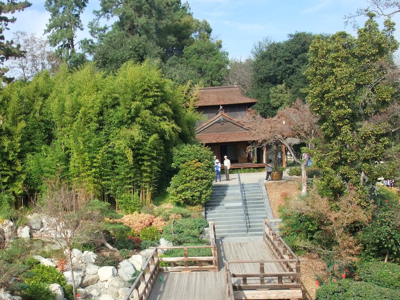 Japanese and Chinese Garden at the Huntington